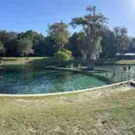 The Botanical Retreat, King Comfort & Poolside Peace Gainesville Dış mekan fotoğraf
