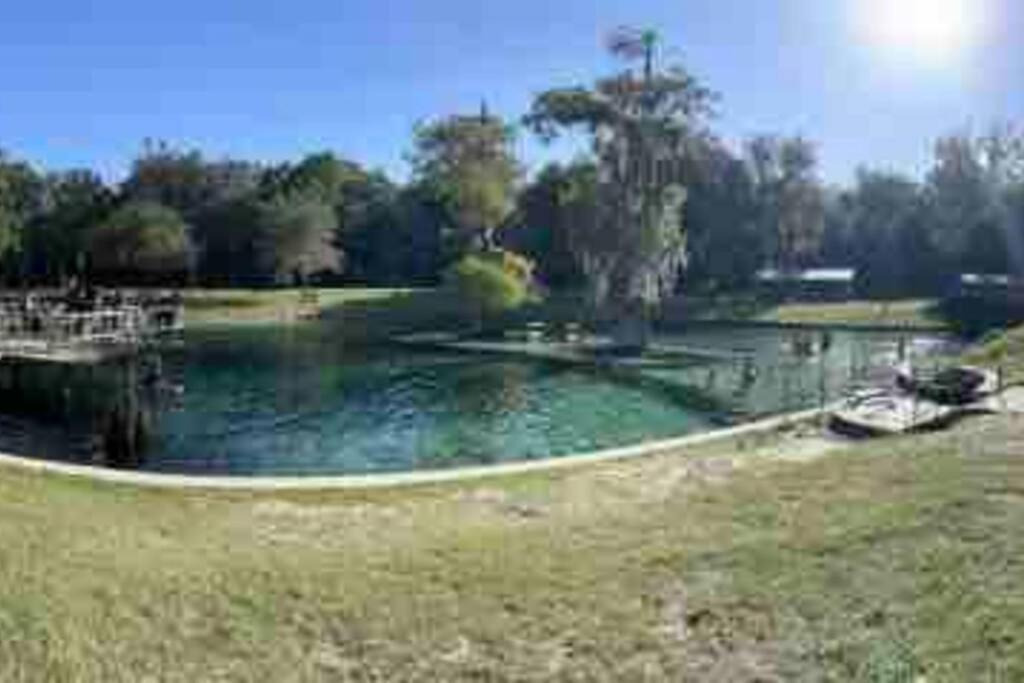The Botanical Retreat, King Comfort & Poolside Peace Gainesville Dış mekan fotoğraf